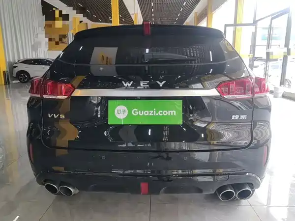Wey VV5 2019