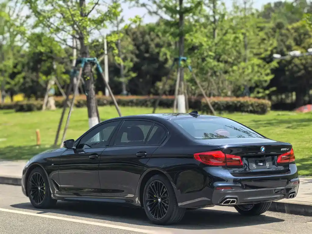 BMW 5 Series 2019 — фото 9