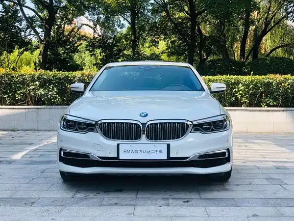 BMW 5 Series New Energy 2020