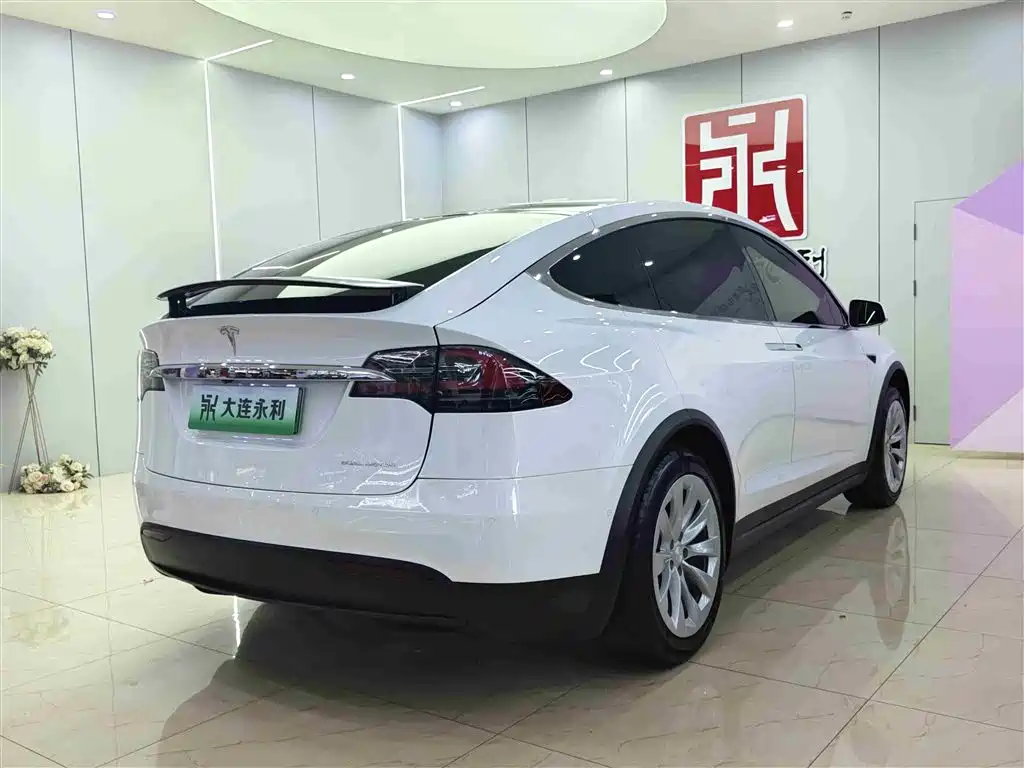 Tesla Model X 2020 — фото 6