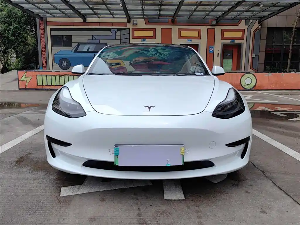 Tesla Model 3 2021 — фото 2