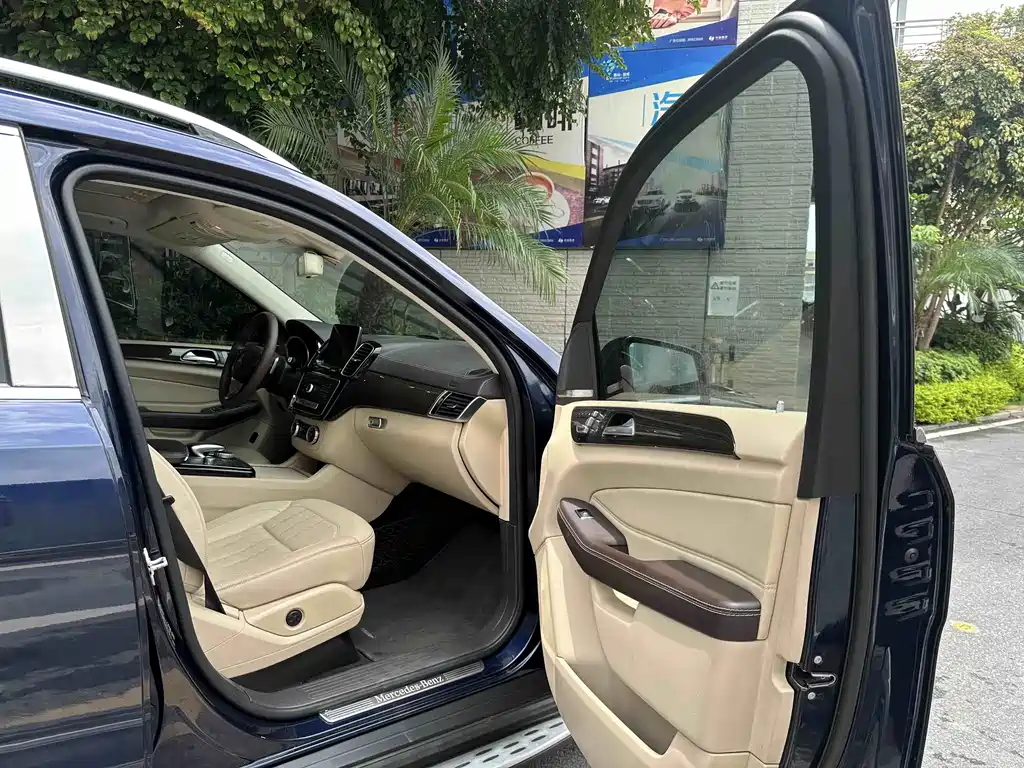 Mercedes-Benz GLS 2018 — фото 21