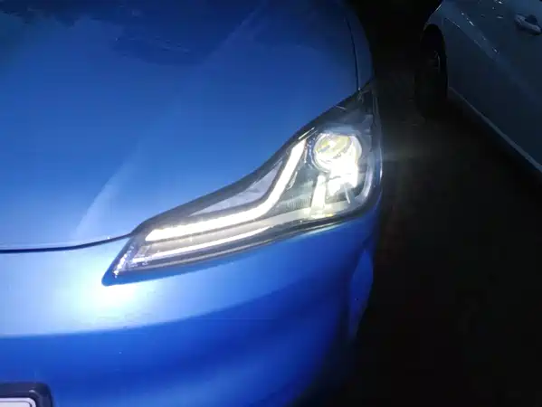 Neta V 2022