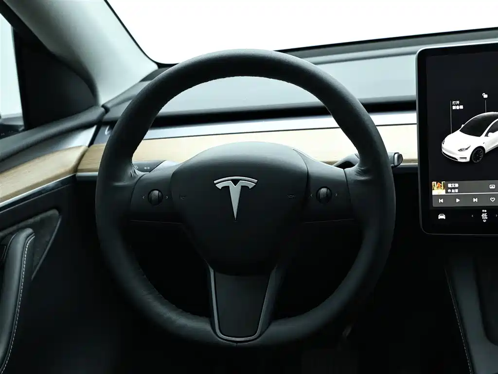 Tesla Model Y 2021 — фото 16