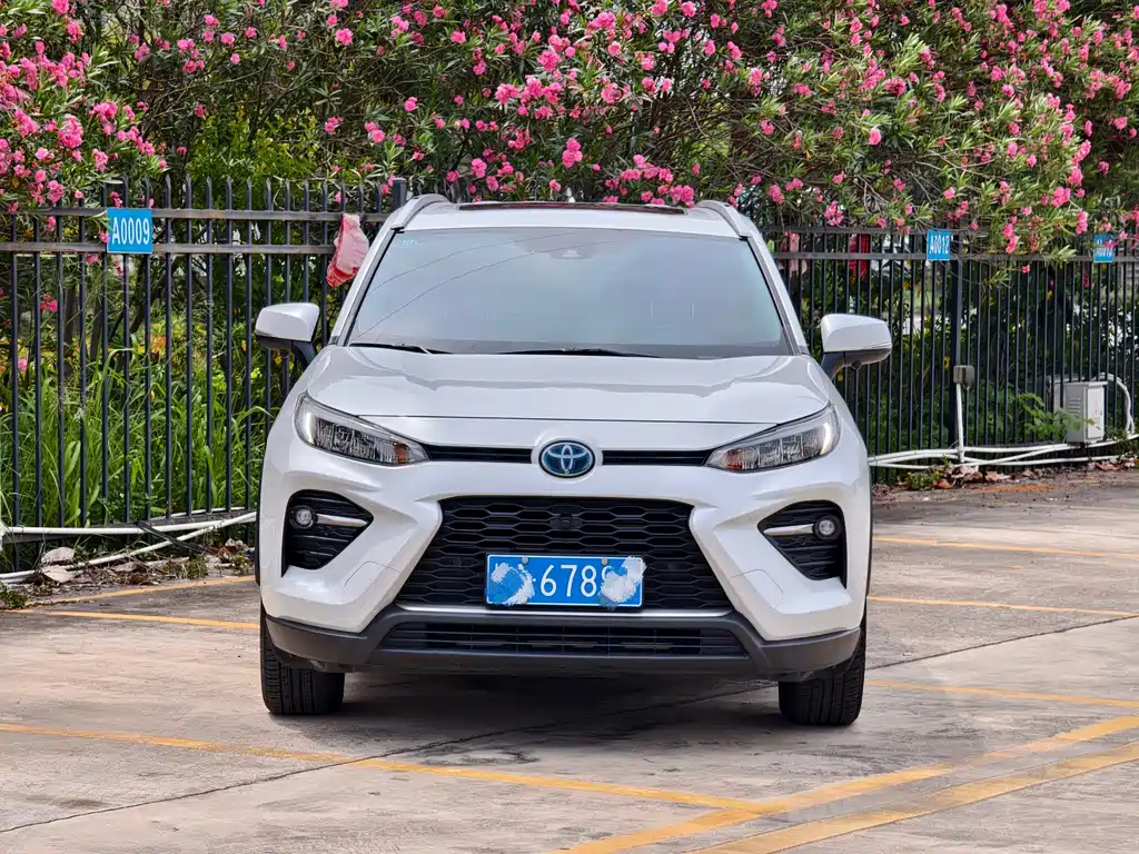 Toyota Wildlander 2020 — фото 2