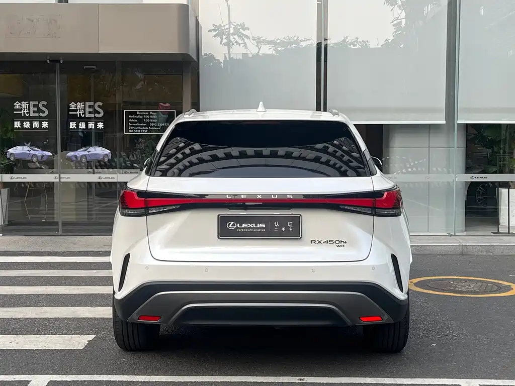 Lexus RX New Energy 2023 — фото 12