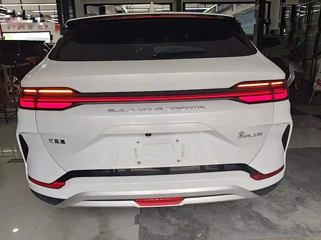 BYD Song PLUS New Energy 2024 — фото 6