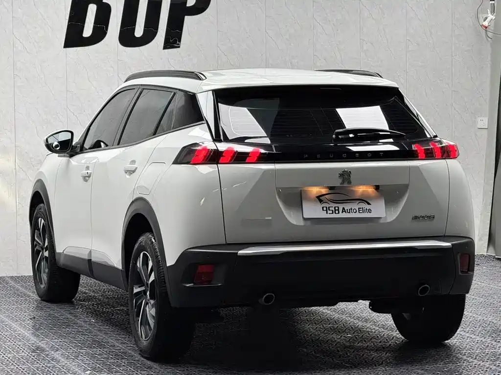 Peugeot 2008 2023 — фото 10