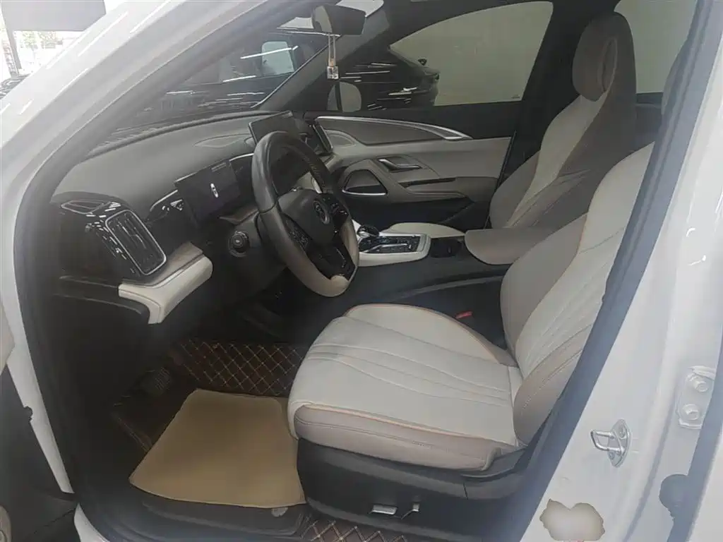 BYD Pro New Energy 2025 — фото 11