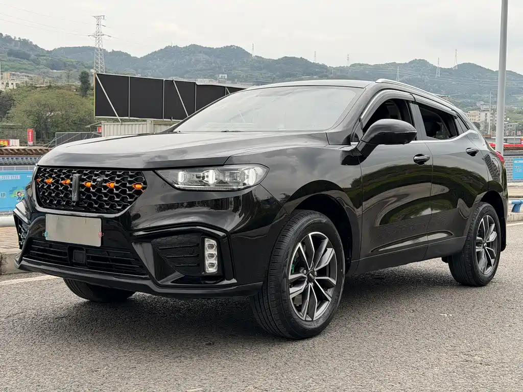 Wey VV5 2020
