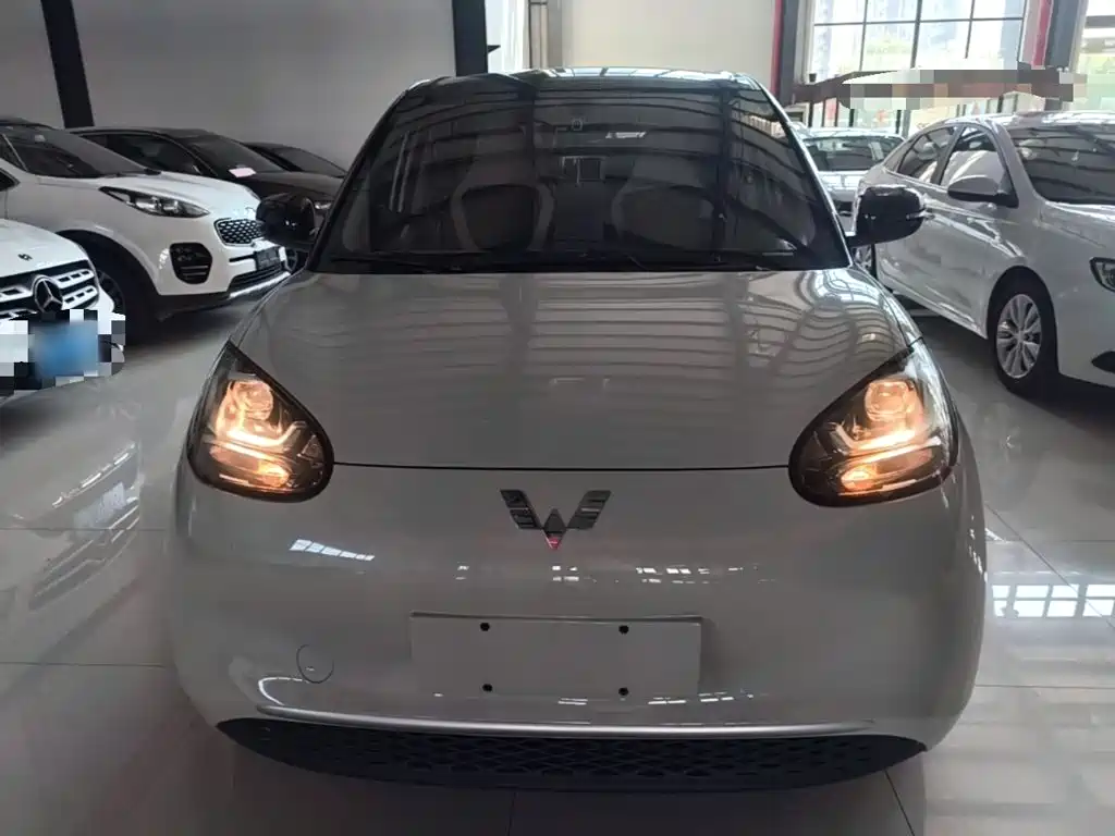 Wuling Bingo 2024