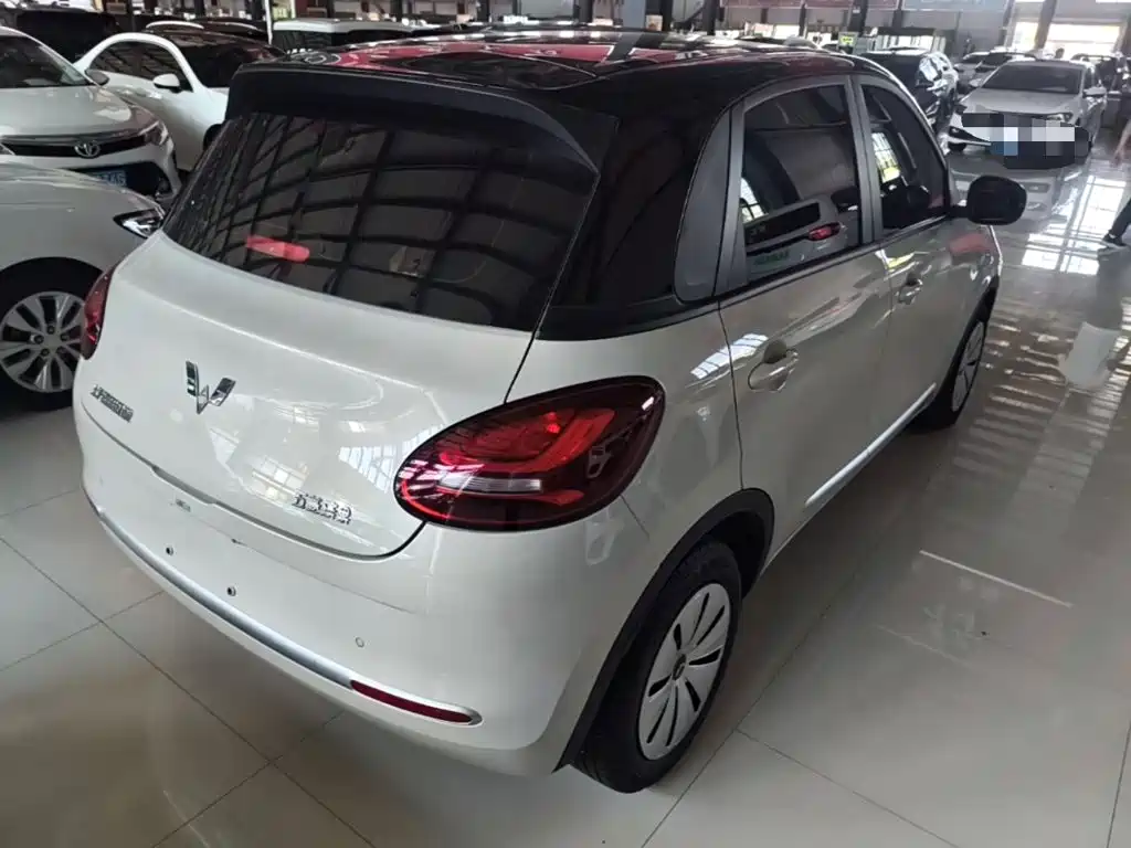 Wuling Bingo 2024