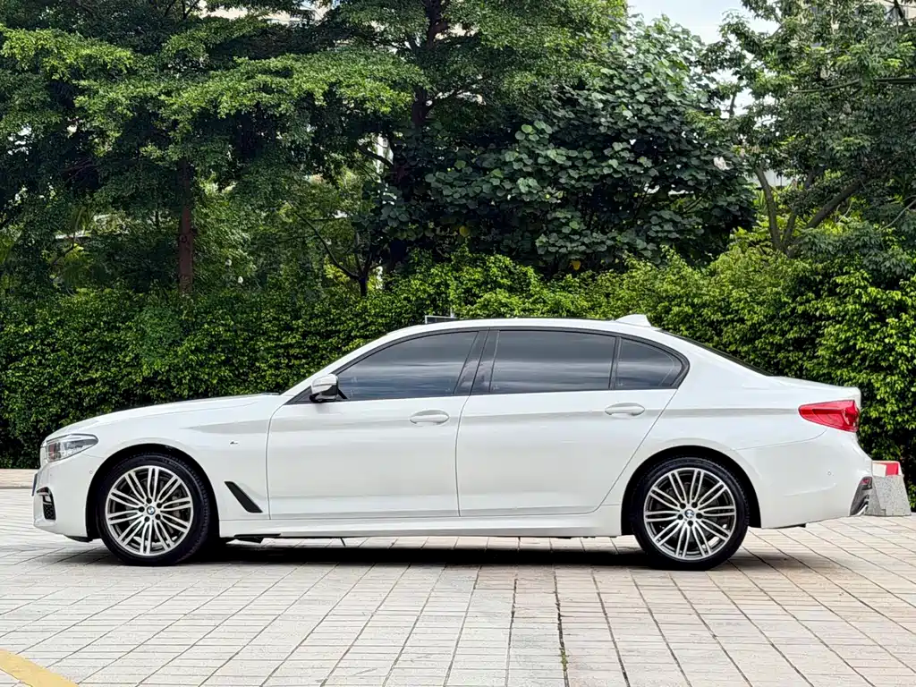 BMW 5 Series 2019
