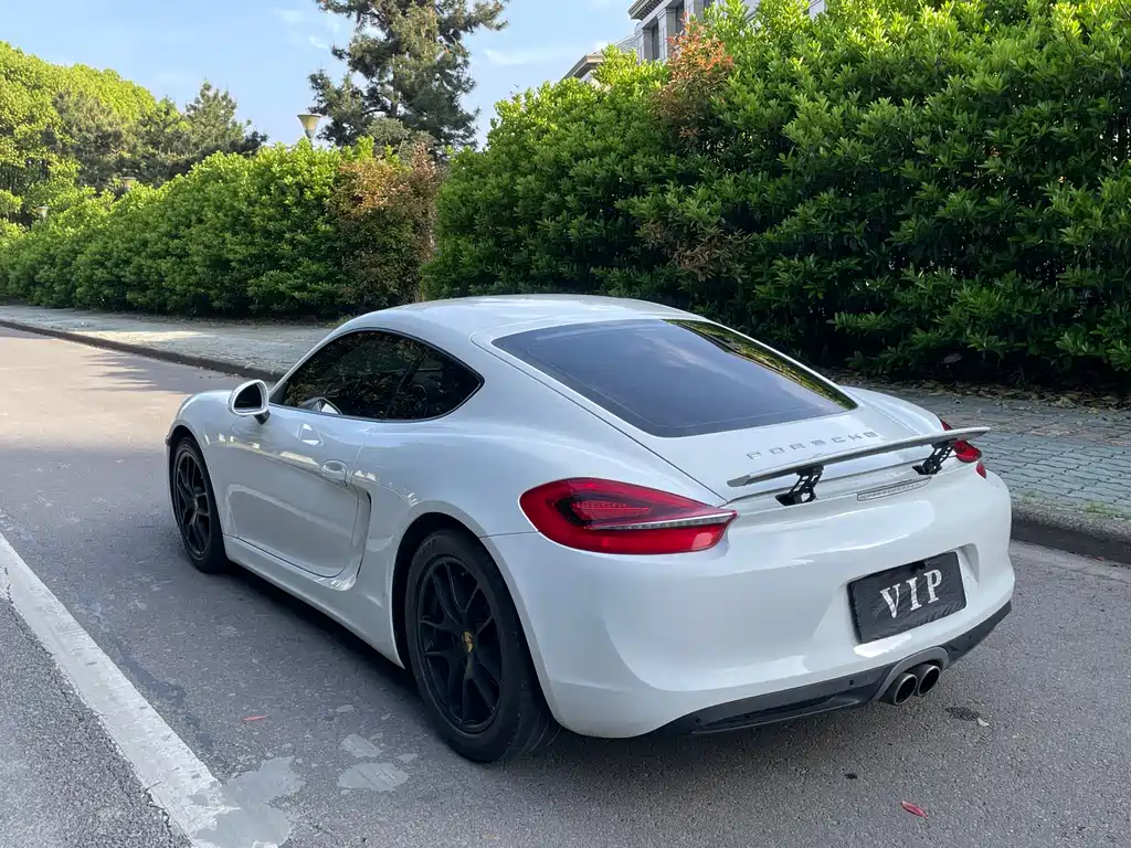 Porsche Cayman 2015 — фото 25