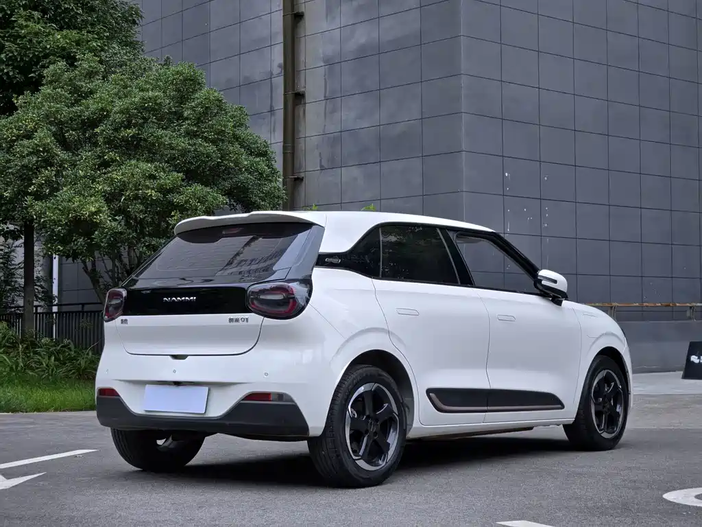 Dongfeng Nano 01 2024