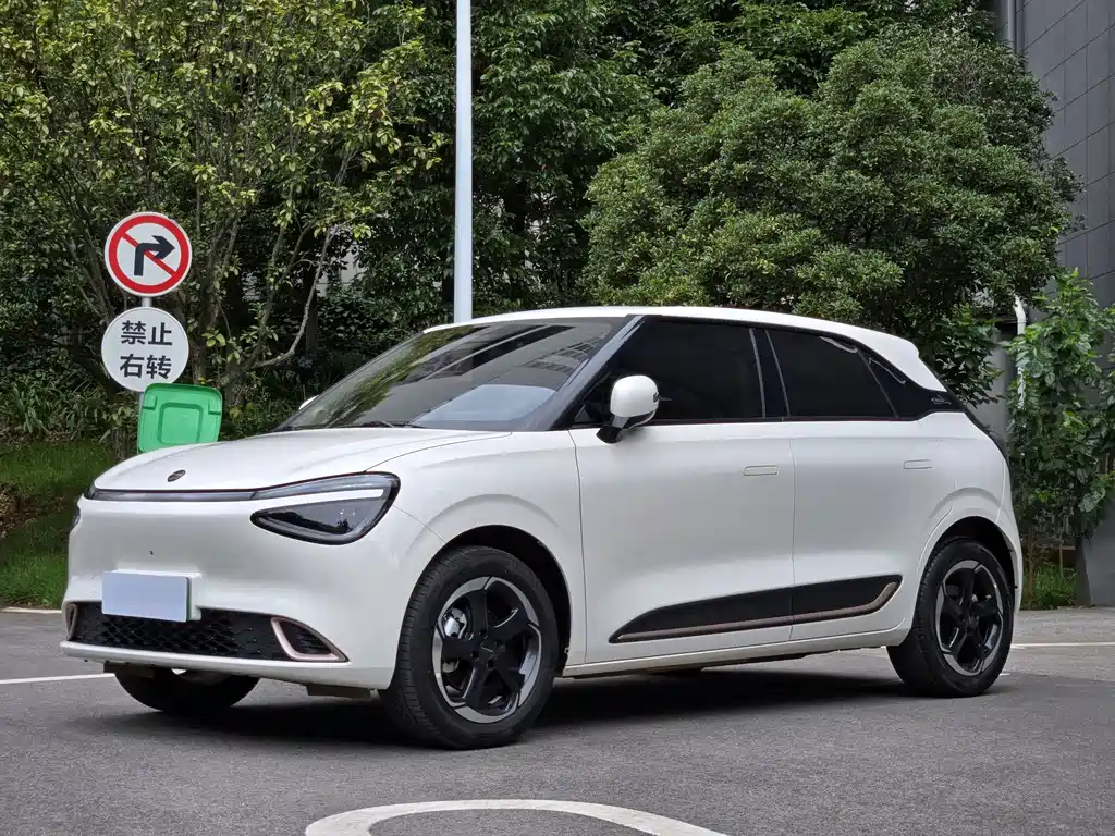 Dongfeng Nano 01 2024