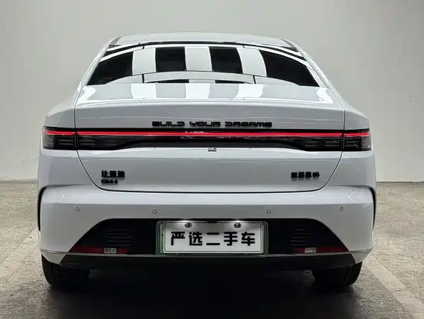 BYD Destroyer 05 2024