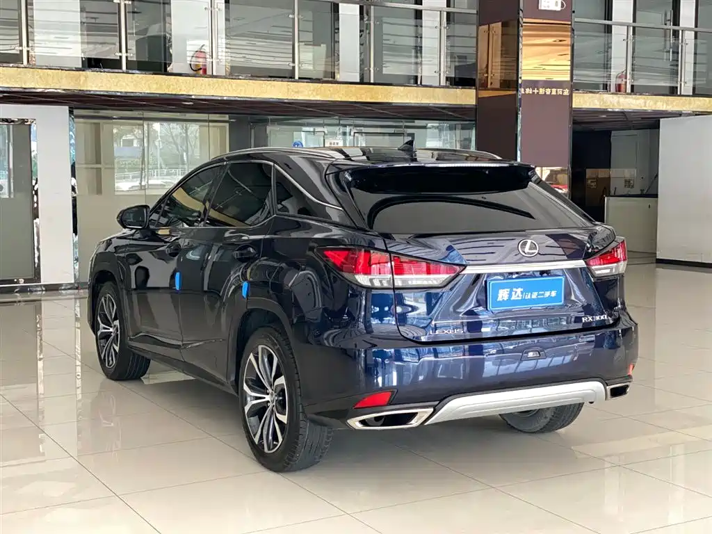 Lexus RX 2022 — фото 9