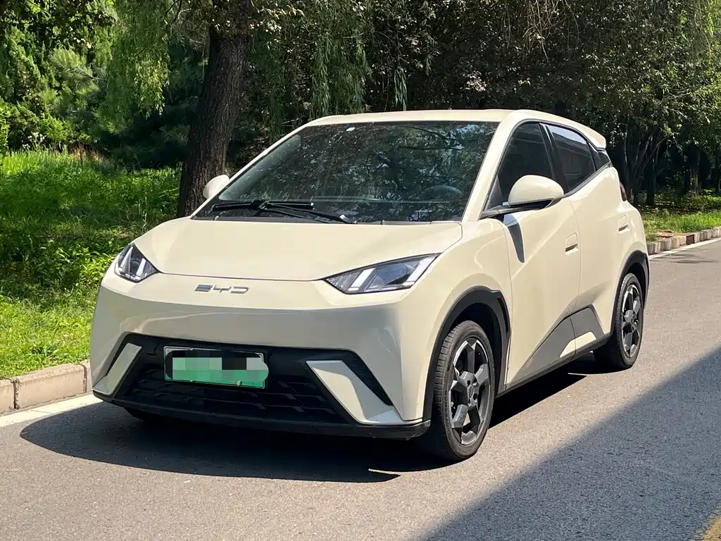 BYD Seagull 2024