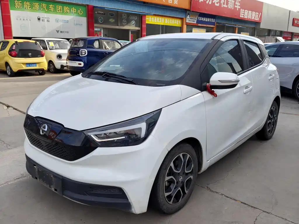 JMEV EV3 2021