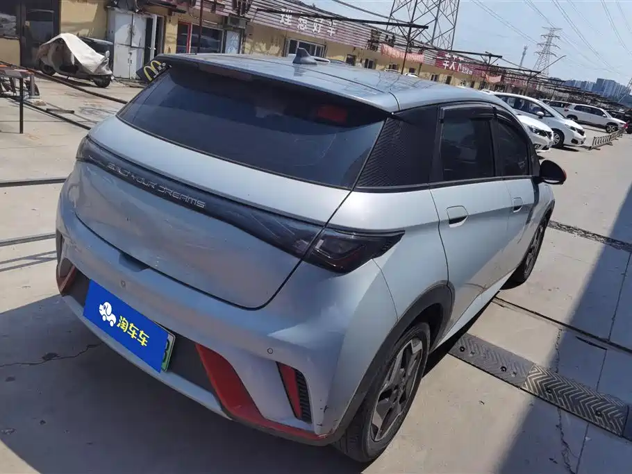 BYD Dolphin 2021
