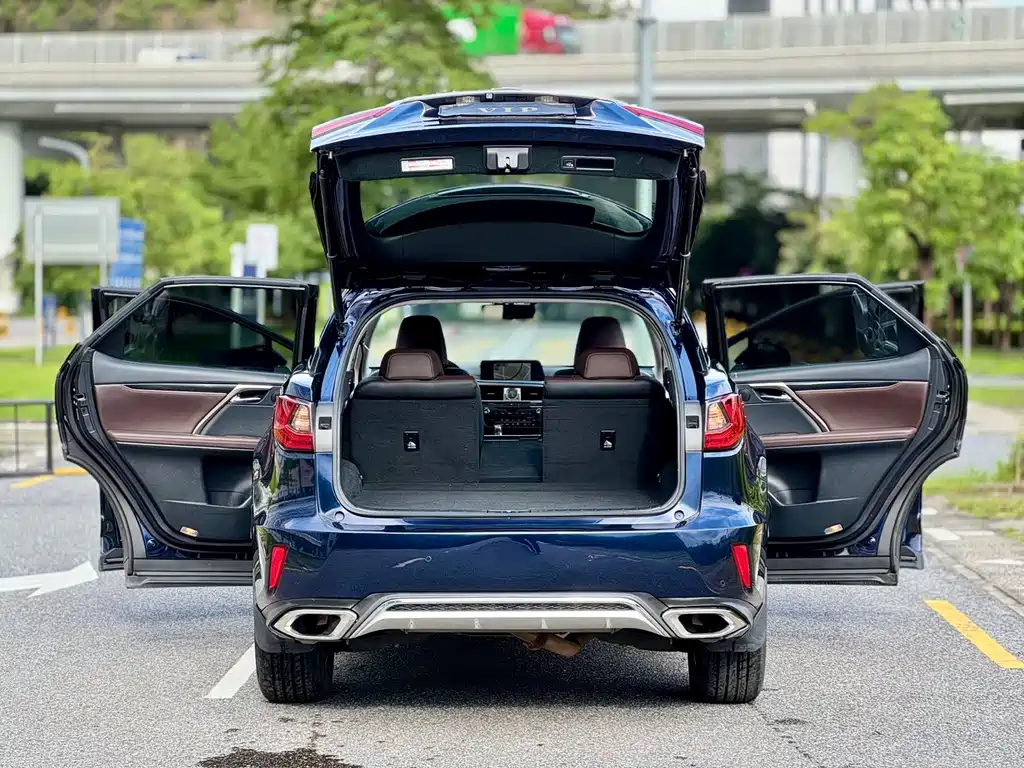 Lexus RX 2016 — фото 14