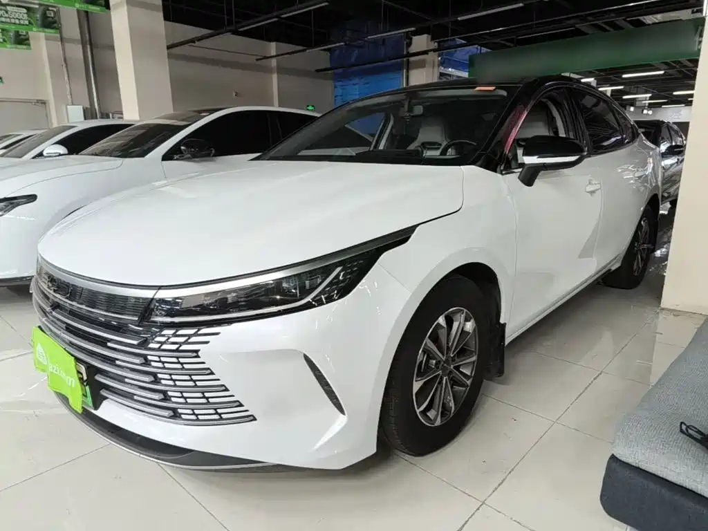 BYD Destroyer 05 2024 — фото 1