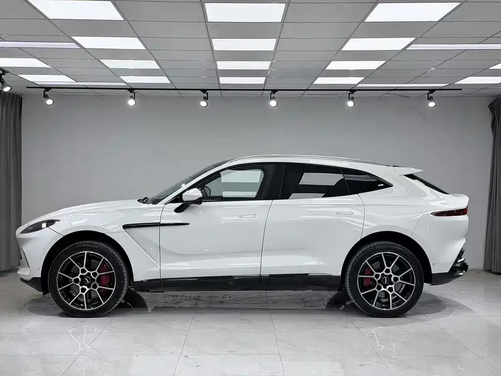 Aston Martin DBX 2021 — фото 3