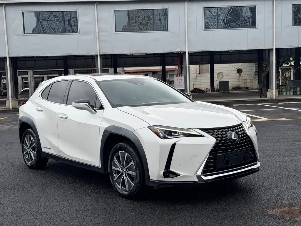 Lexus UX New Energy 2020 — фото 3