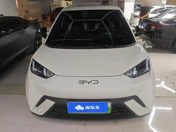 BYD Seagull 2024