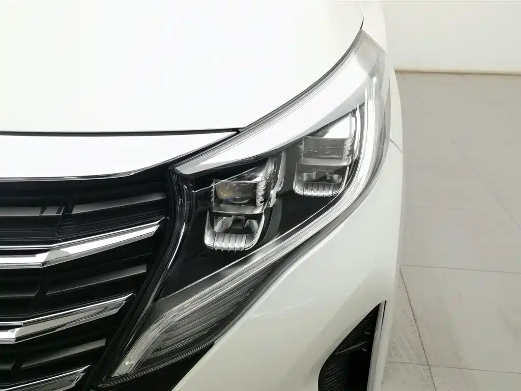 GAC Motor Trumpchi M8 2022 — фото 7
