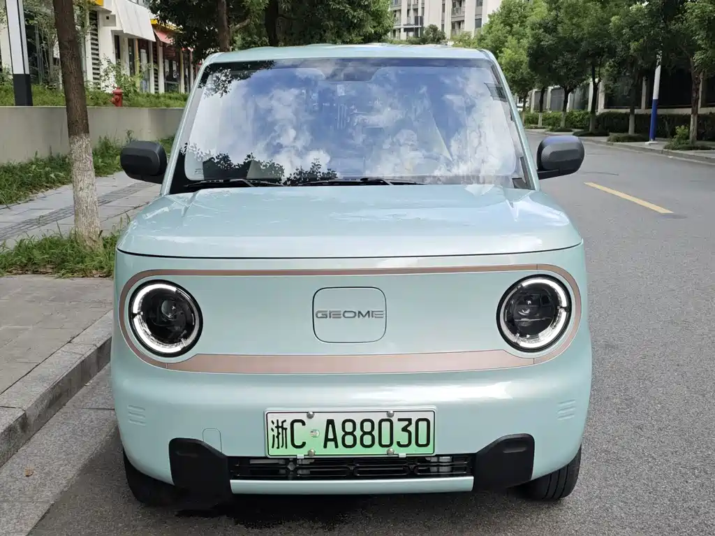 Geely Galaxy Panda 2023 — фото 8