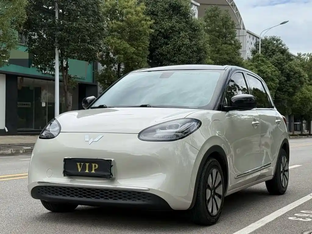 Wuling Bingo 2024