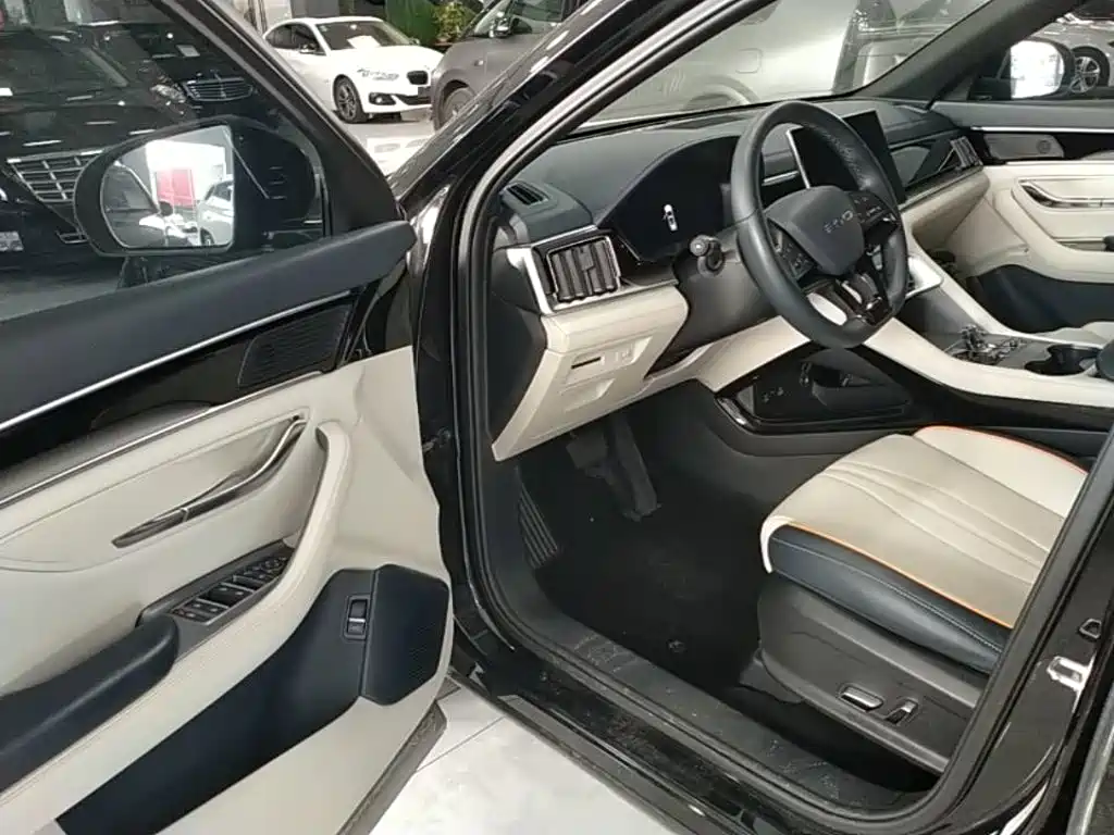BYD Song PLUS New Energy 2024 — фото 16