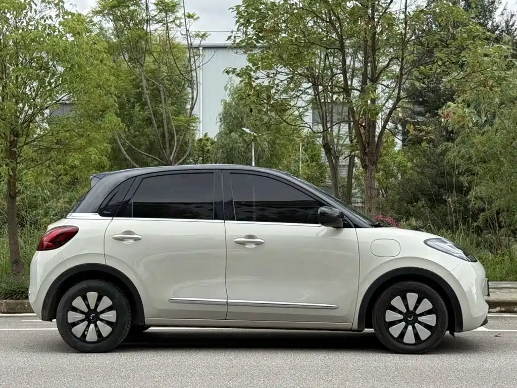 Wuling Bingo 2024