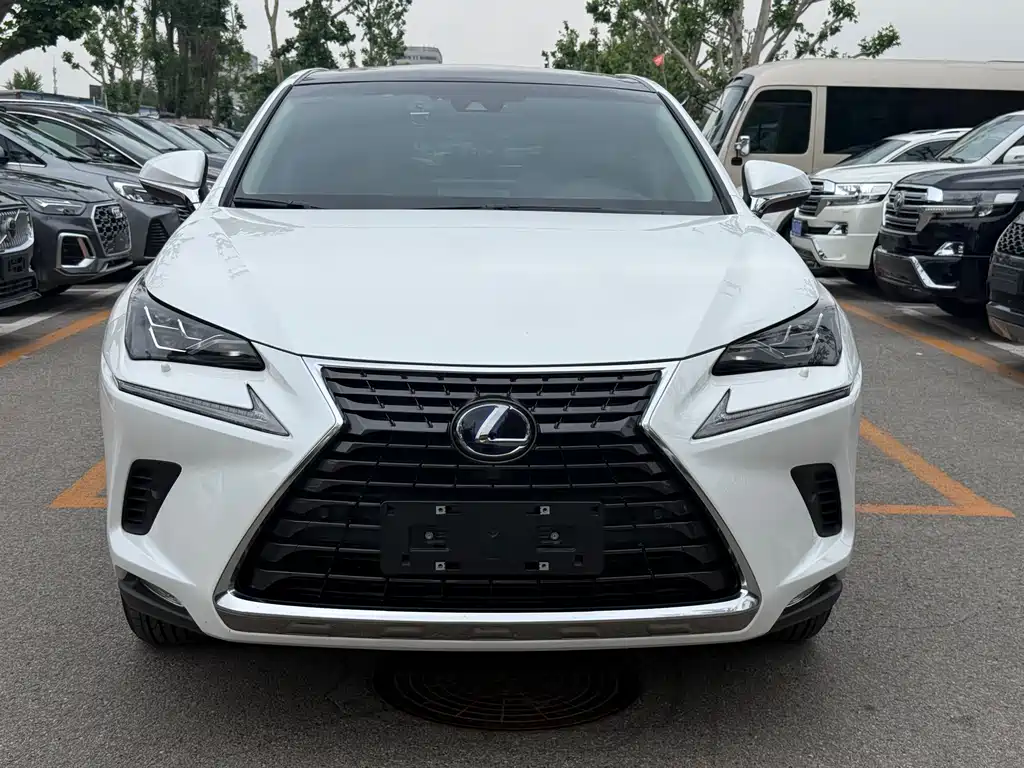Lexus NX 2019 — фото 2