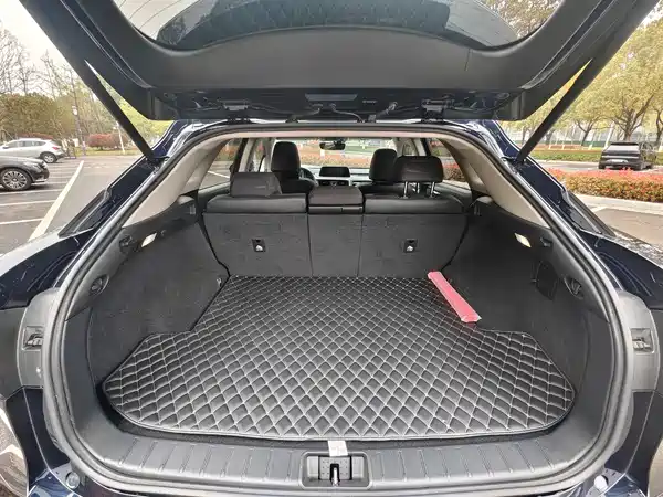 Lexus RX 2020