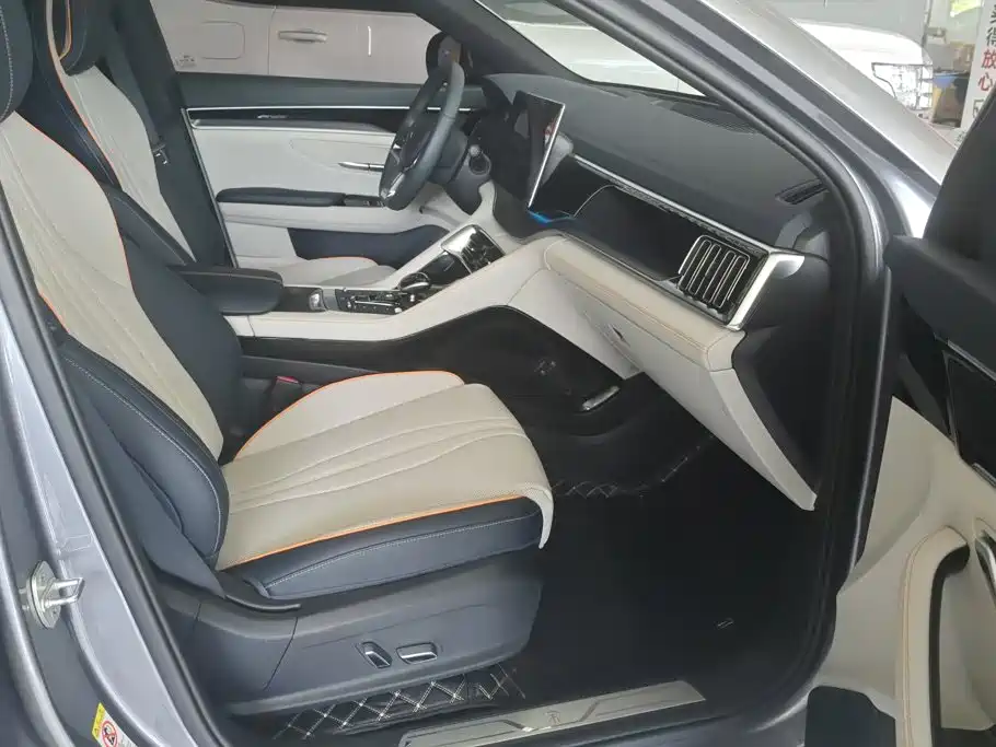 BYD Song PLUS New Energy 2022 — фото 8