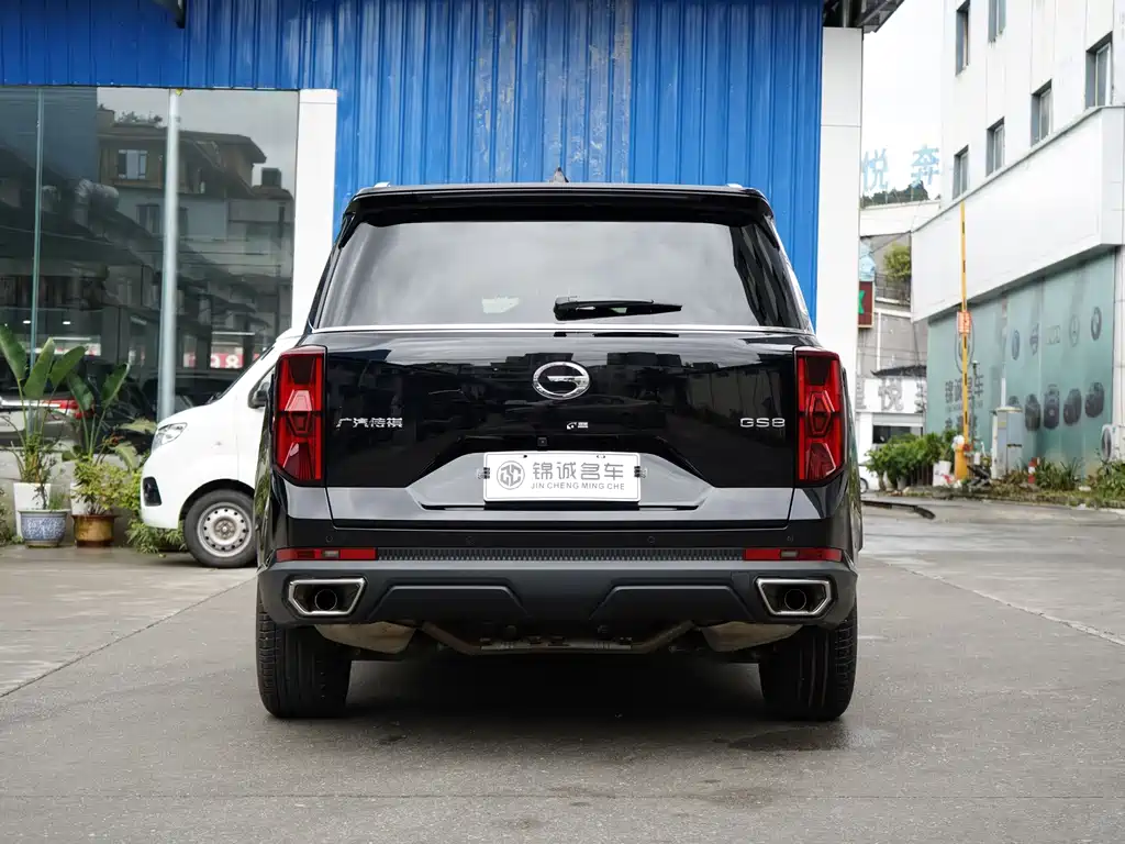 GAC Trumpchi GS8 2025 — фото 8