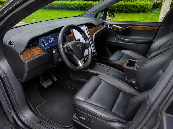 Tesla Model X 2019