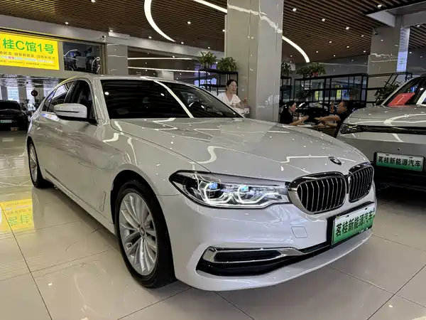 BMW 5 Series New Energy 2020