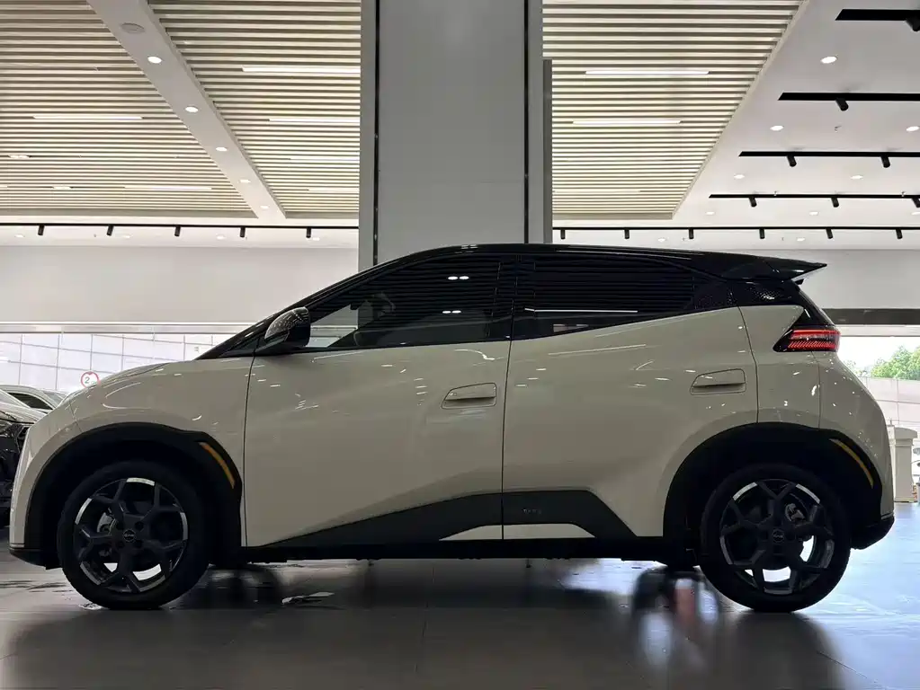 BYD Seagull 2024