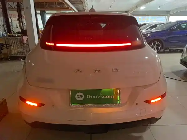Ora Good Cat 2024