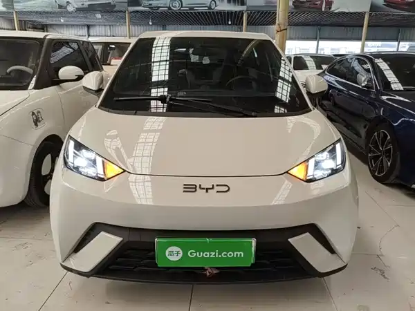 BYD Seagull 2024
