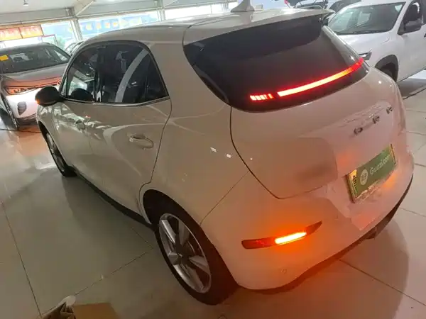 Ora Good Cat 2024