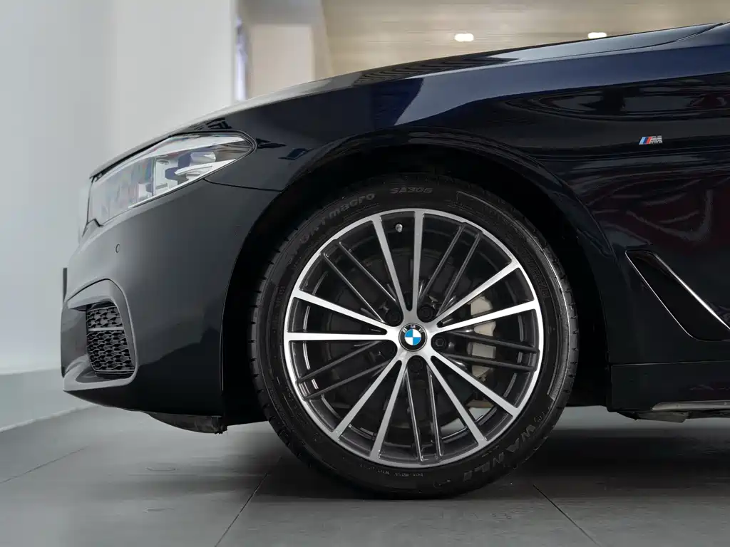 BMW 5 Series 2019 — фото 10