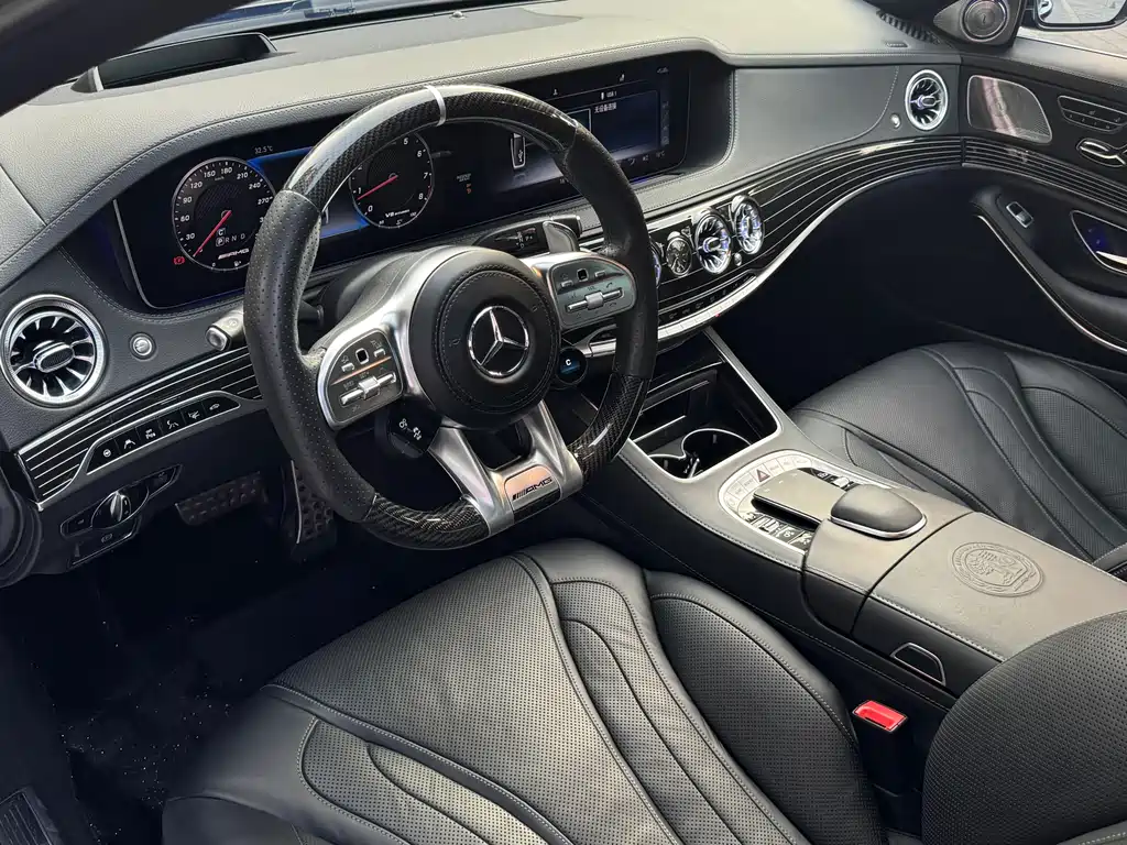 Mercedes-Benz S-Class AMG 2018 — фото 13
