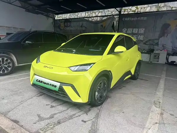 BYD Seagull 2024