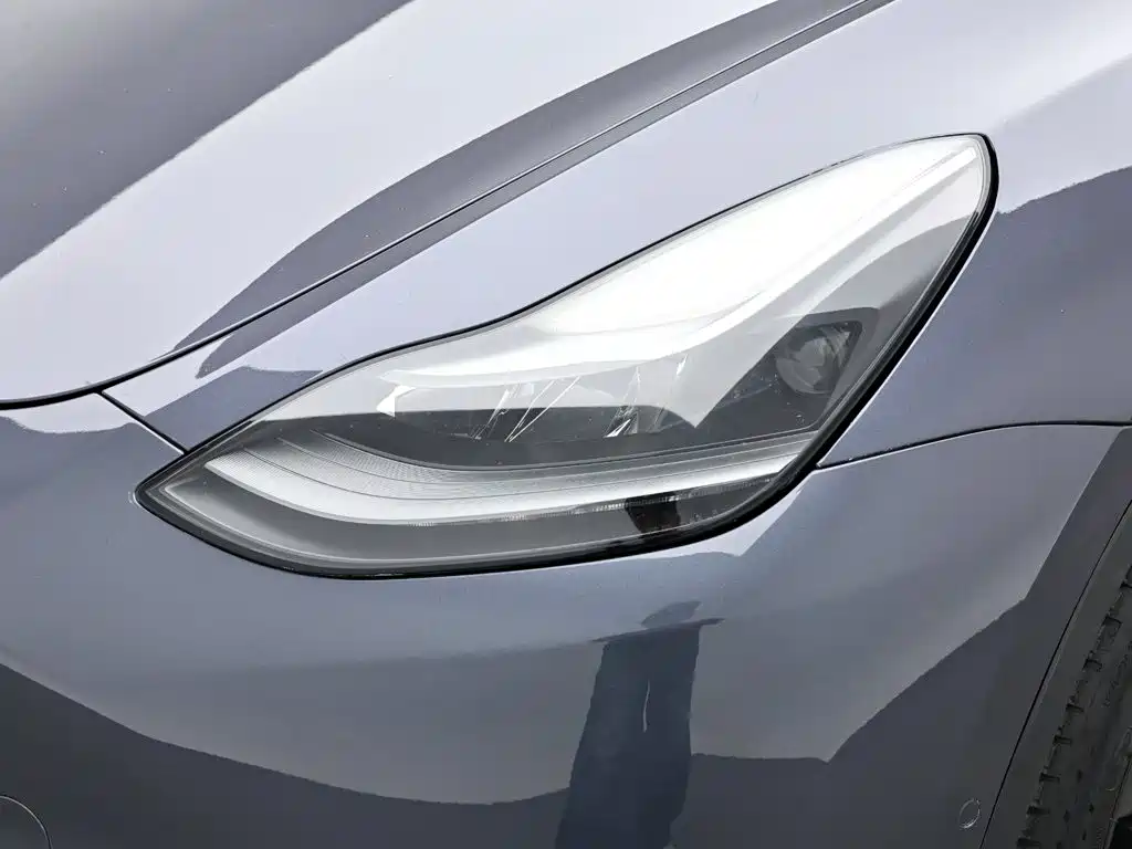 Tesla Model Y 2021 — фото 18