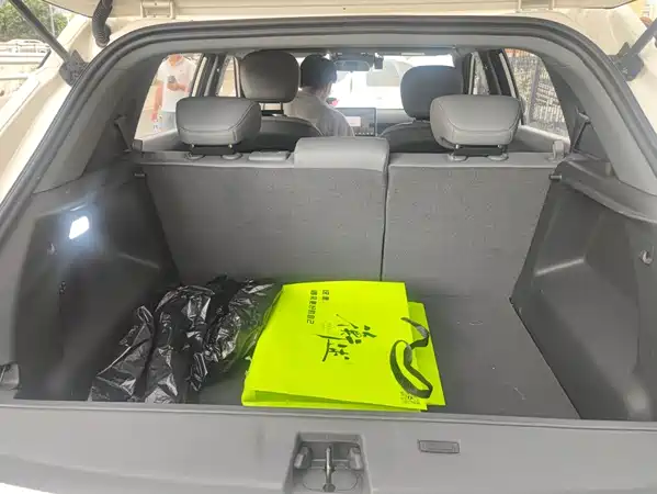 Dongfeng Nano 06 2025